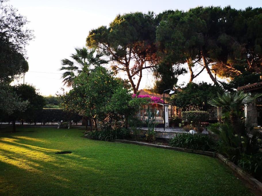 Villa Lena Entire Cottage Kalamaki  외부 사진